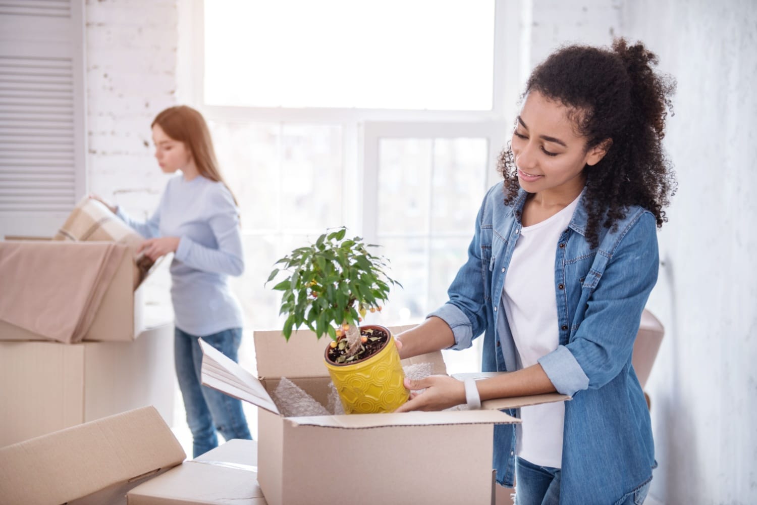 Zwei Frauen packen Umzugskartons